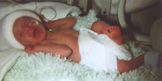 Image1.jpg (124482 Byte)