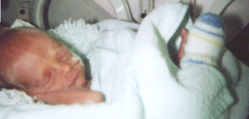 Inku.jpg (92148 Byte)