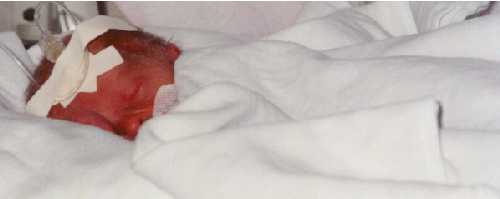 Leonie1.jpg (103971 Byte)