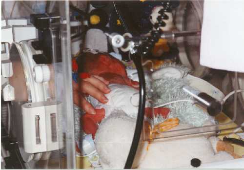 Leonie2.jpg (424870 Byte)