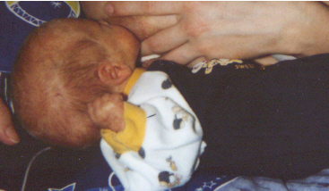 an brust.jpg (76609 Byte)