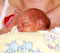 auf brust.jpg (36612 Byte)