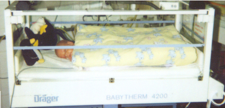 cabrio.jpg (91597 Byte)