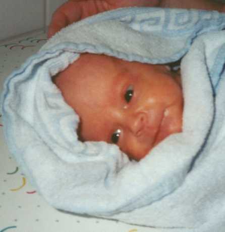 et.jpg (166591 Byte)