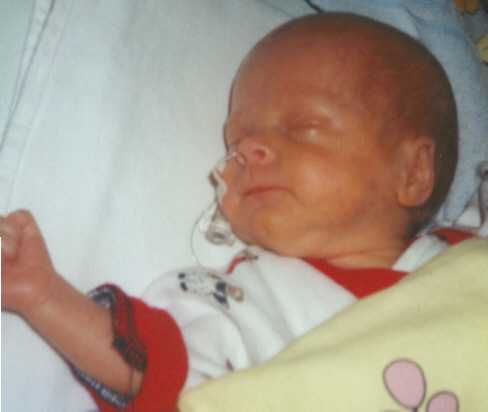 hallo.jpg (102125 Byte)