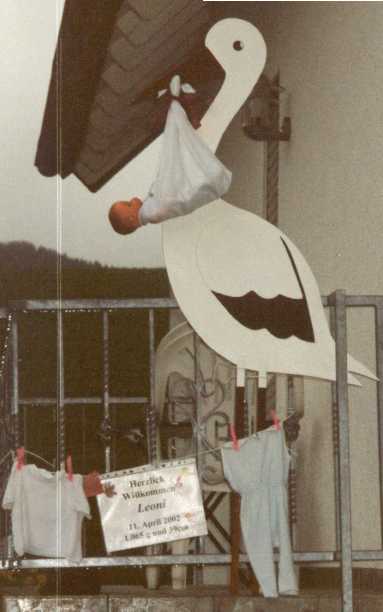 storch.jpg (250447 Byte)